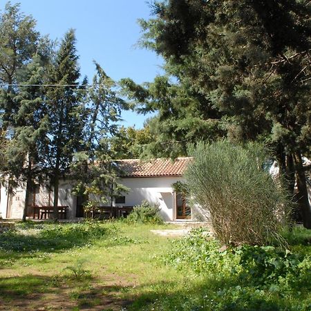 B&B Parco Del Lamione Gioia Del Colle Luaran gambar