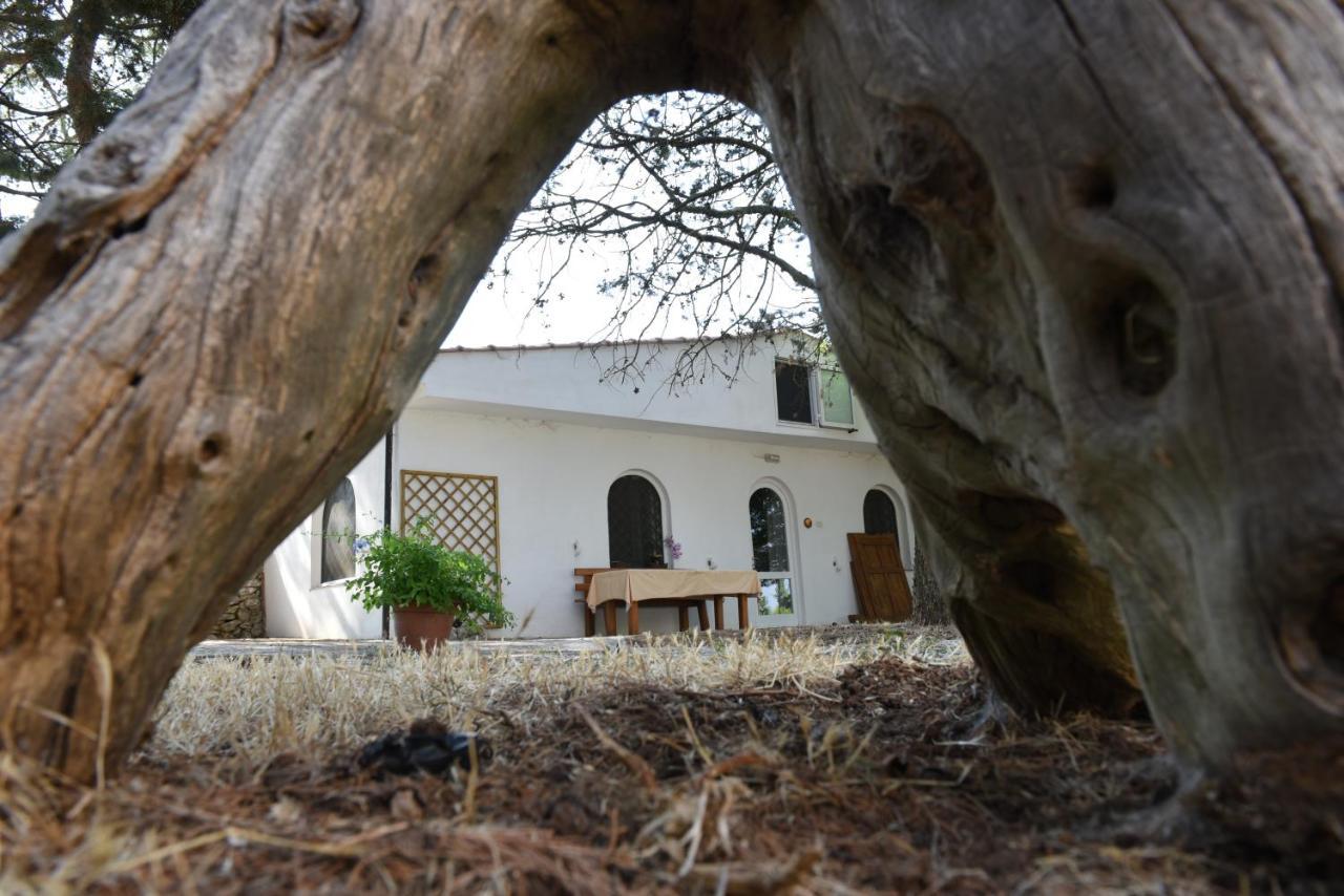 B&B Parco Del Lamione Gioia Del Colle Luaran gambar